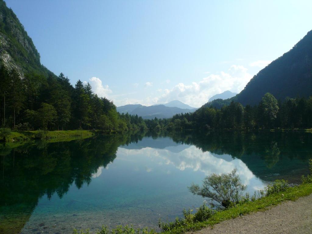 Bed and Breakfast Goldener Ochs Golling an der Salzach Exterior foto